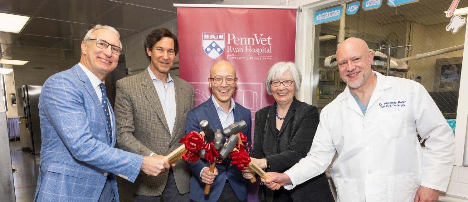 (from left to right) Dean Andrew Hoffman, Richard Lichter, Anson Tsugawa, V’98, Nadine Chien, and Dr. Alexander Reiter (image courtesy of Penn Vet)