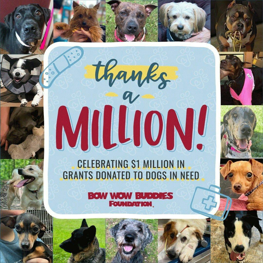 Nonprofit supporting sick and injured dogs receives millionth dollar 