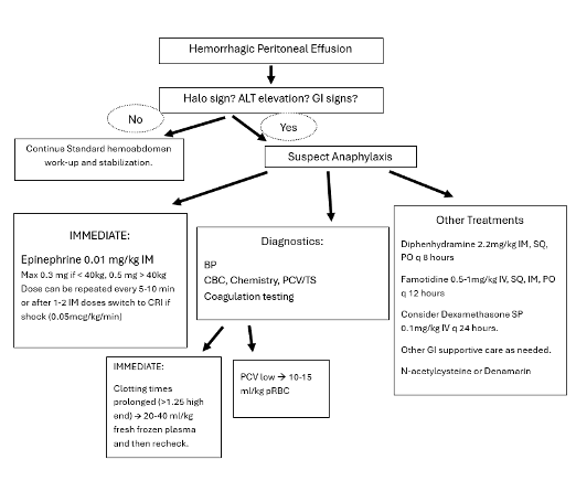 Figure 4: Flow chart utilized at the author's hospital for treatment and diagnostic recommendations for an anaphylactic hemoabdomen.