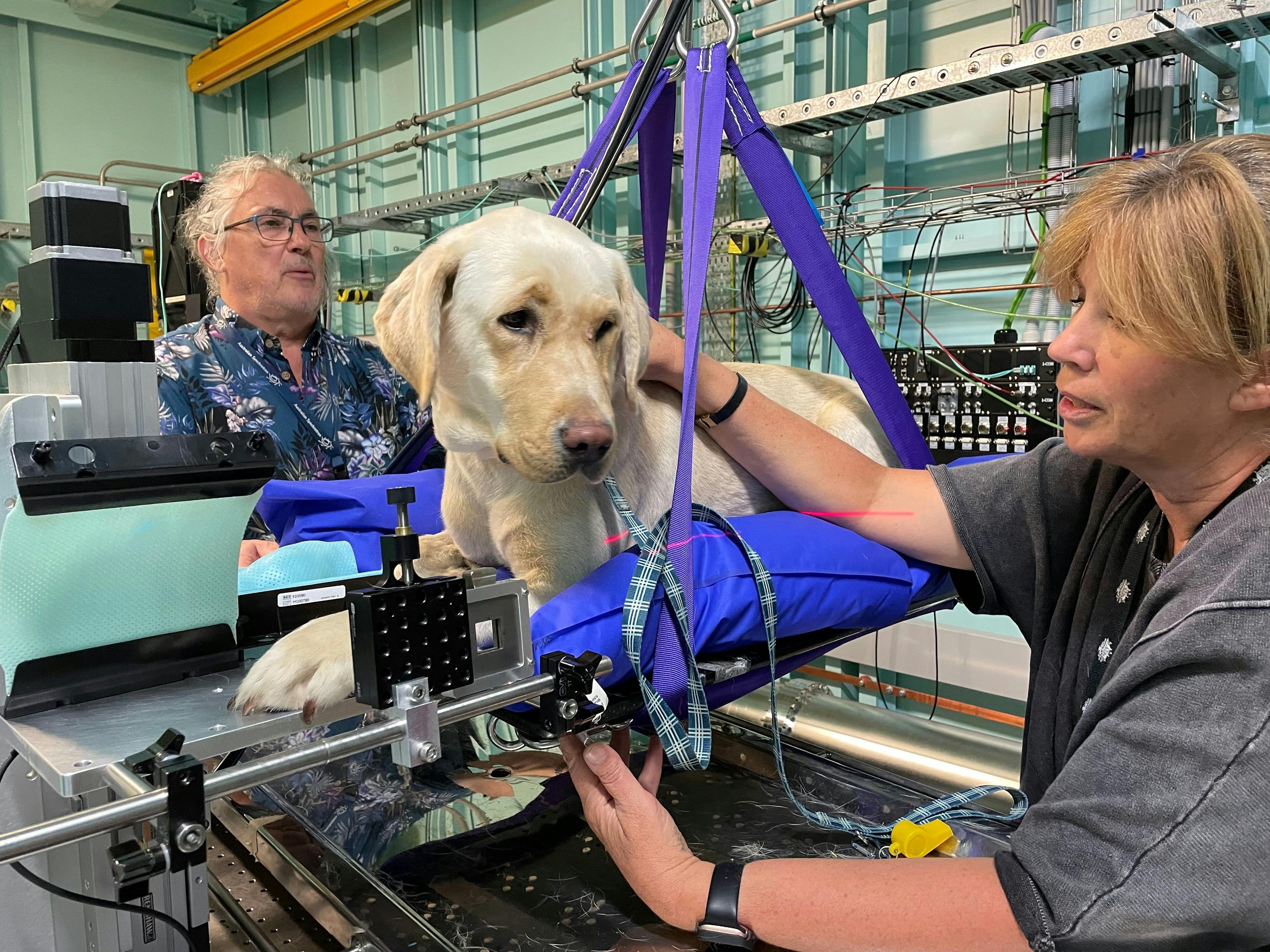 Veterinary scene down under: Veterinary and wildlife research at Synchrotron, and more news