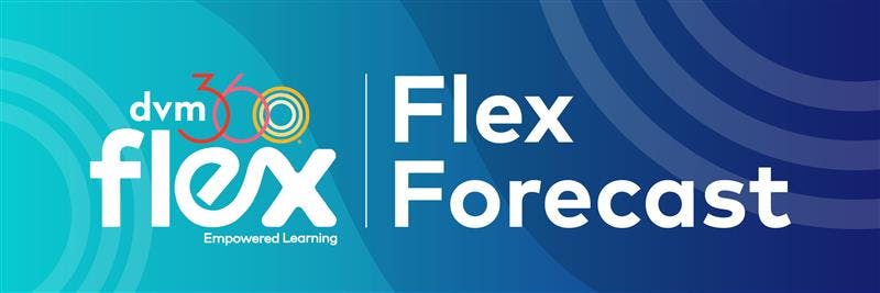 Flex Forecast: January 2024