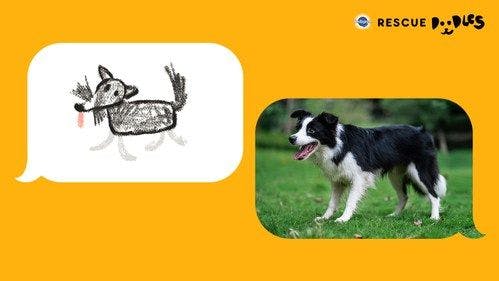 The Pedigree Brand releases Rescue Doodles