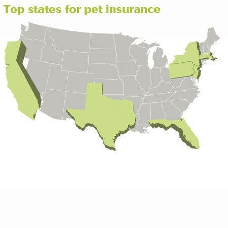 veterinary-spending450-map-843885-1404210585778.jpg