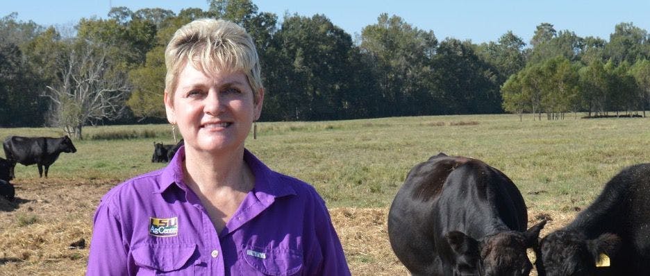 LSU AgCenter faculty member named state veterinarian of the year