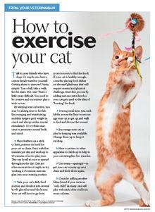 veterinary_cat_exercise_handout_220.jpg