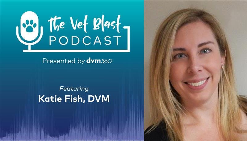 Cultivating veterinary excellence – mentorship and culture
