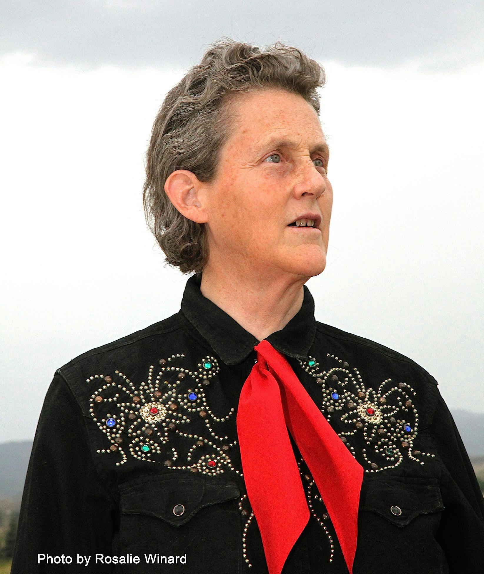 Q&A with a keynote: Temple Grandin, PhD, MS