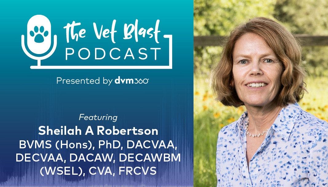 Podcast CE: Osteoarthritis in cats: diagnosis and treatment options